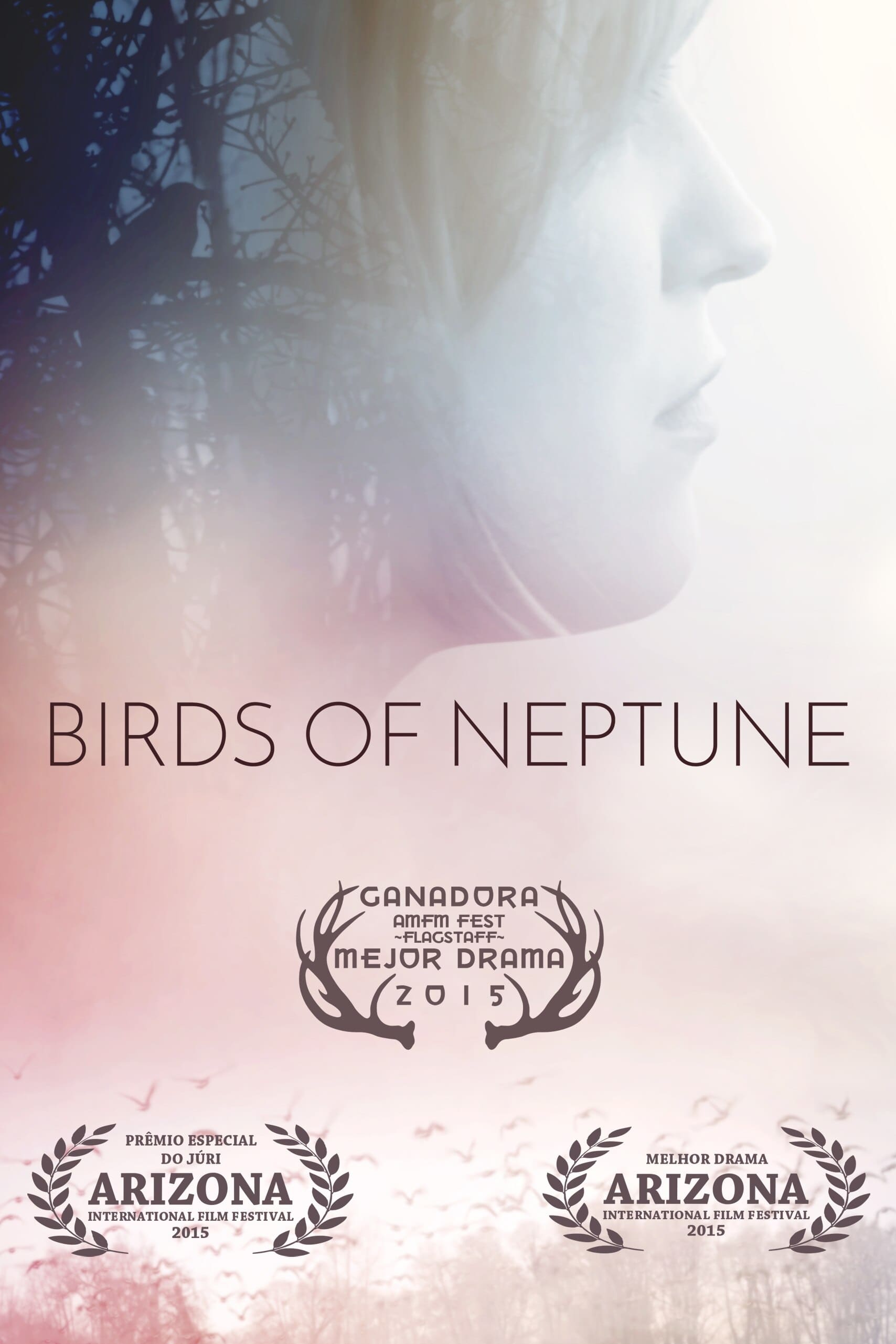 постер Birds of Neptune